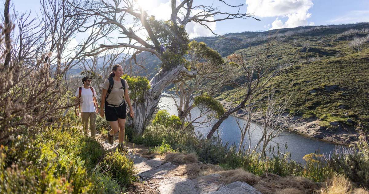 Guthega to charlotte pass walk 8