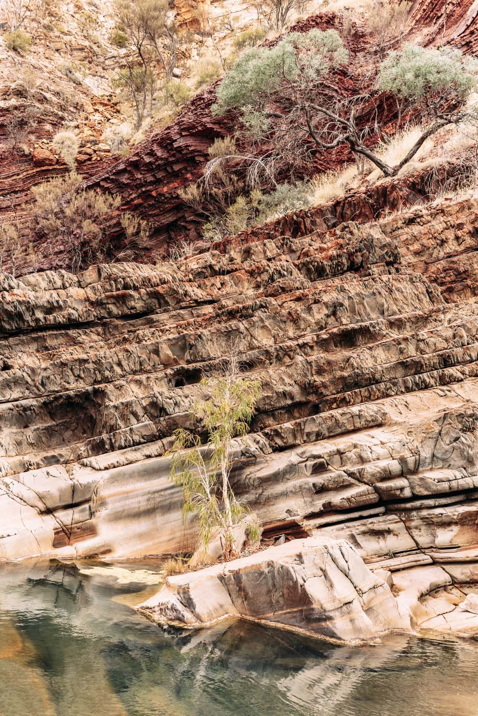Hamersley gorge walk karijini (4)