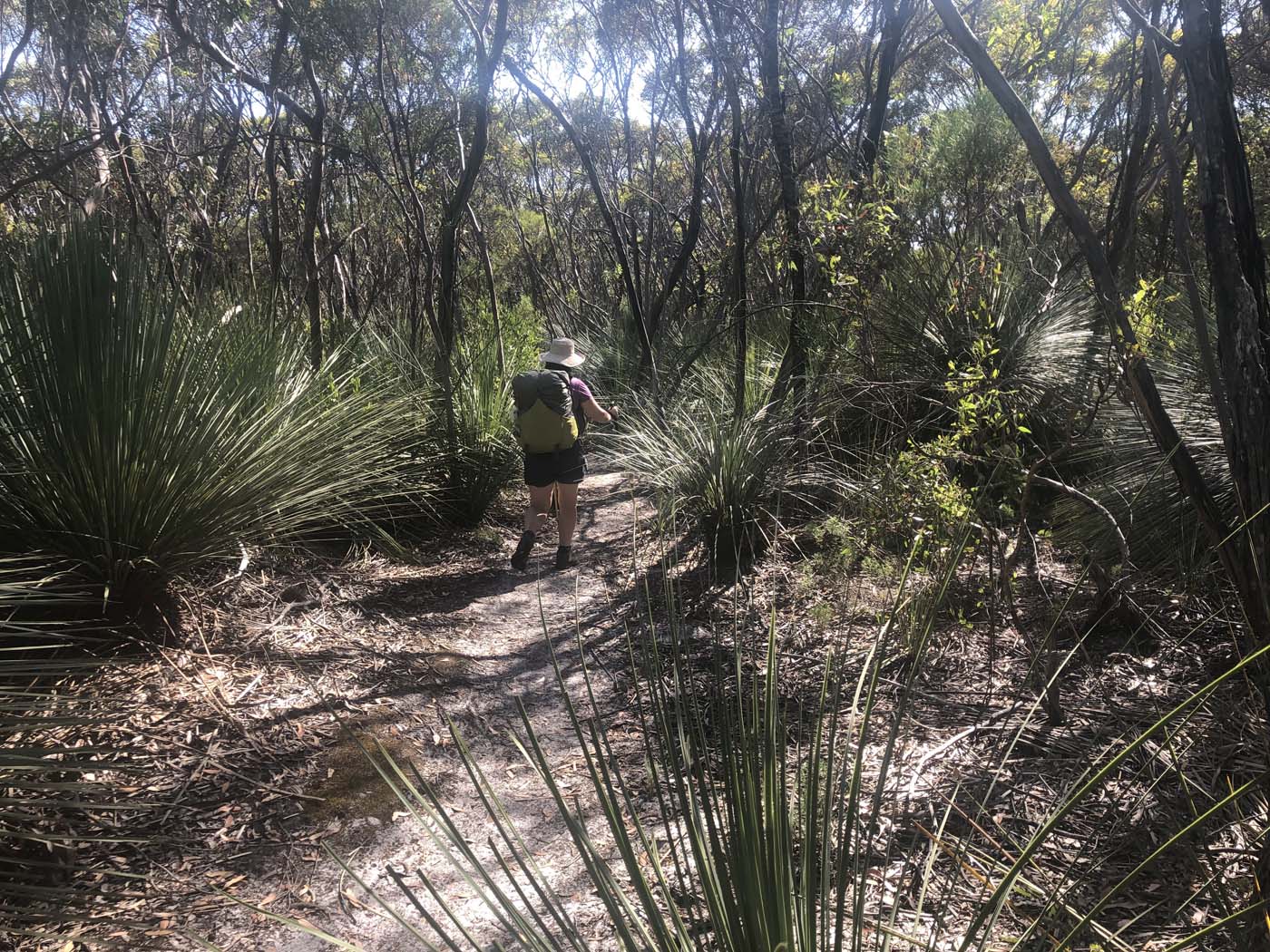 Hanson bay hike (10)