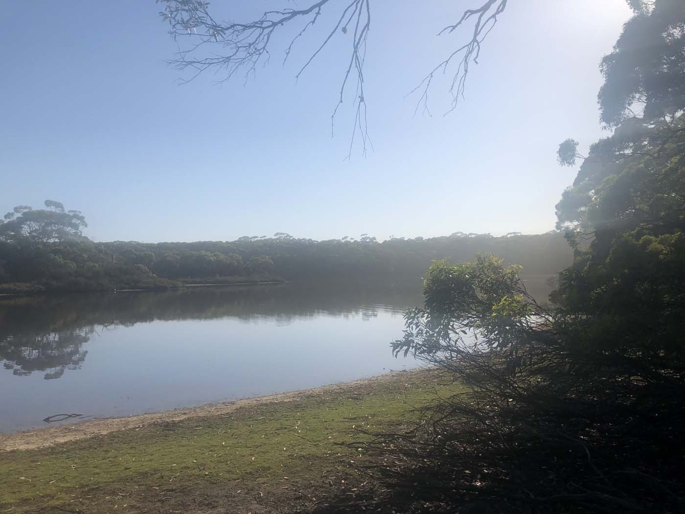Hanson bay hike (2)