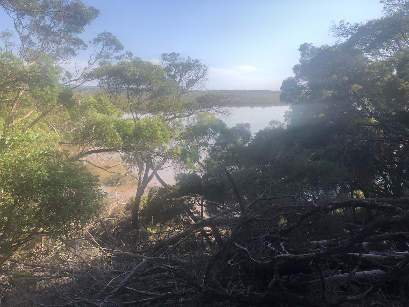 Hanson bay hike (3)