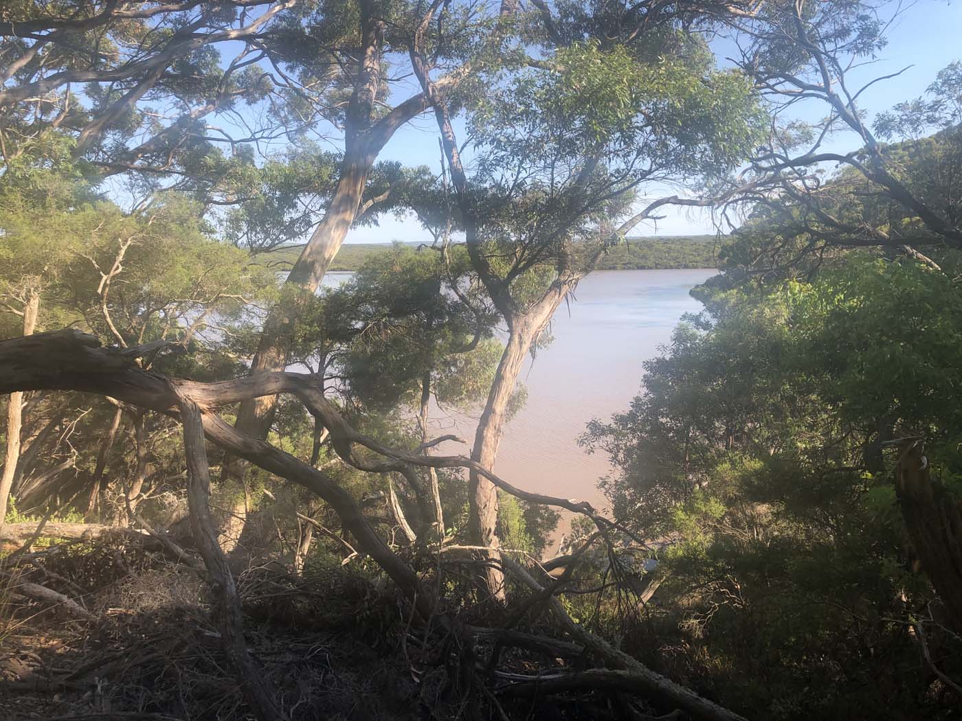 Hanson bay hike (4)