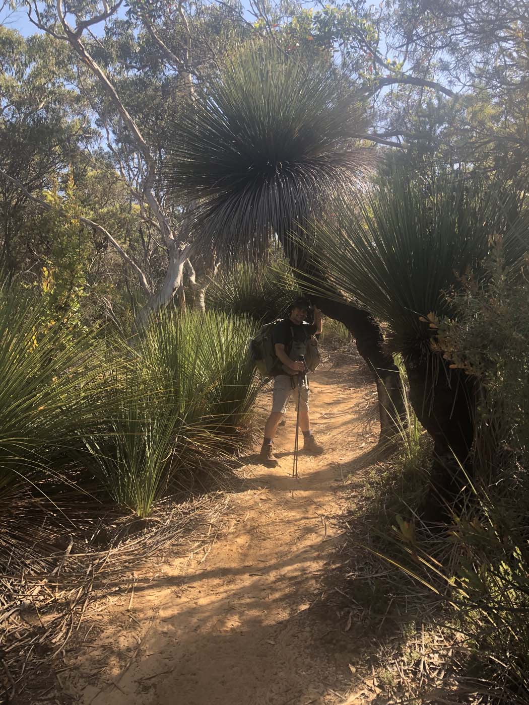 Hanson bay hike (8)