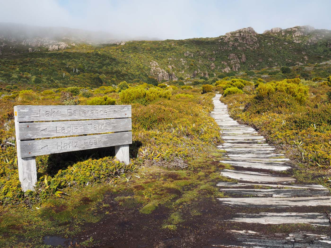 Hartz pass hike (10)