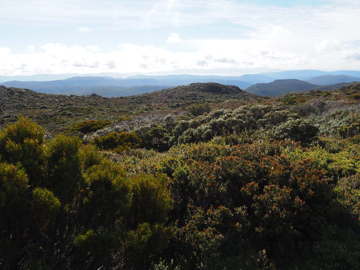 Hartz pass hike (11)