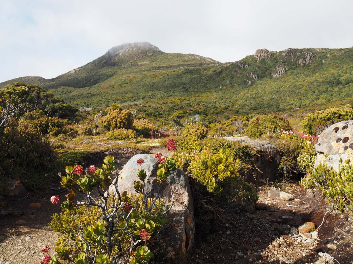 Hartz pass hike (13)
