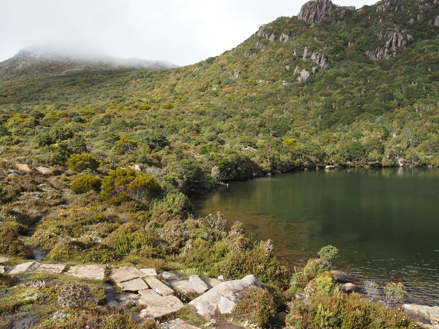 Hartz pass hike (16)