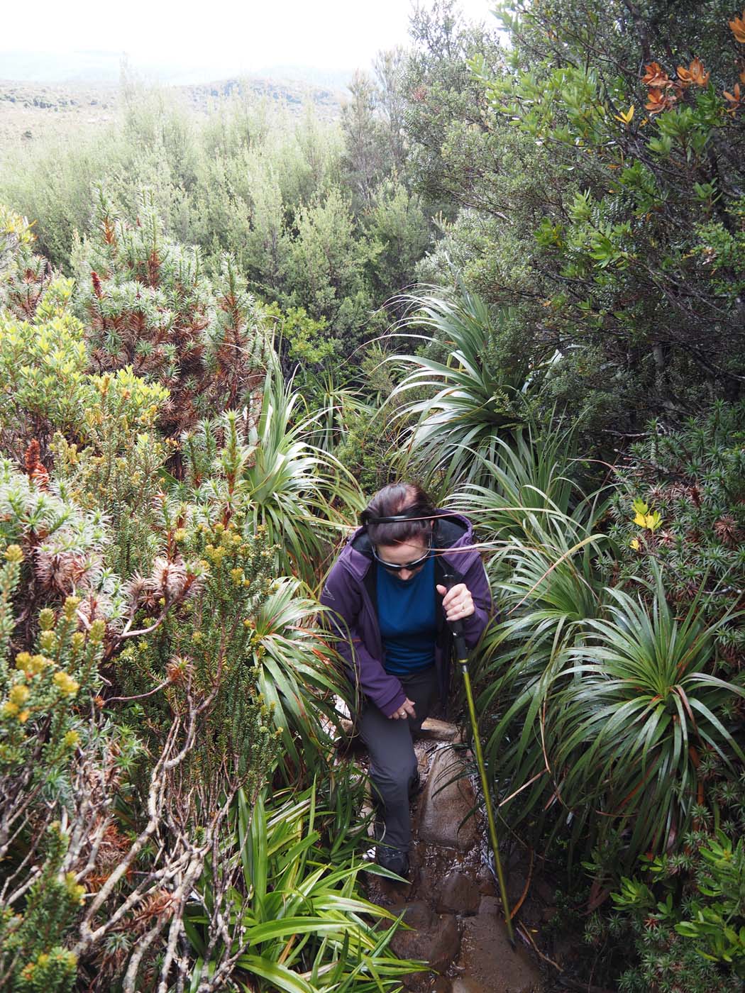 Hartz pass hike (17)