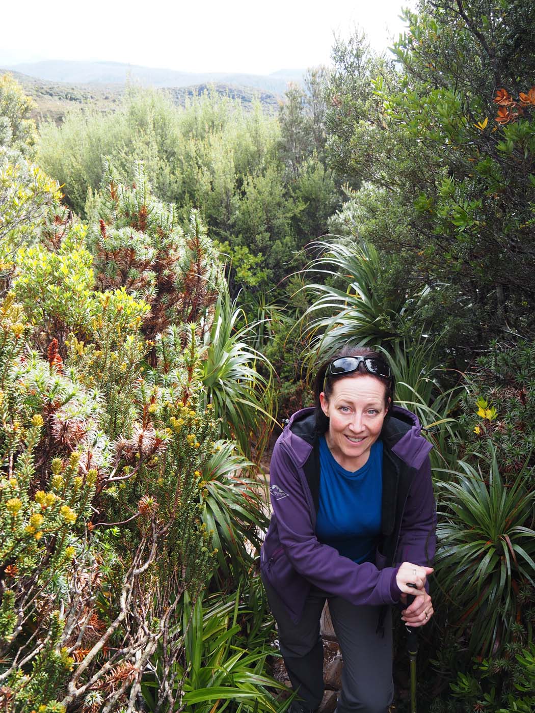 Hartz pass hike (18)