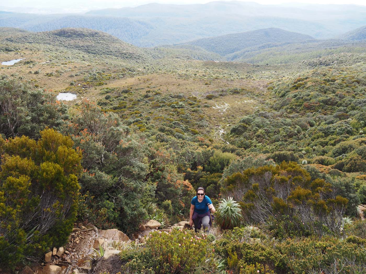 Hartz pass hike (20)