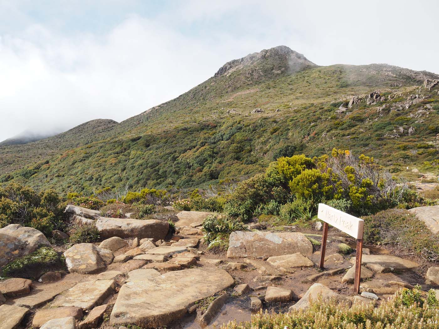 Hartz pass hike (21)