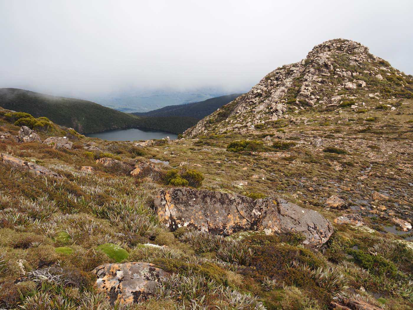 Hartz pass hike (23)