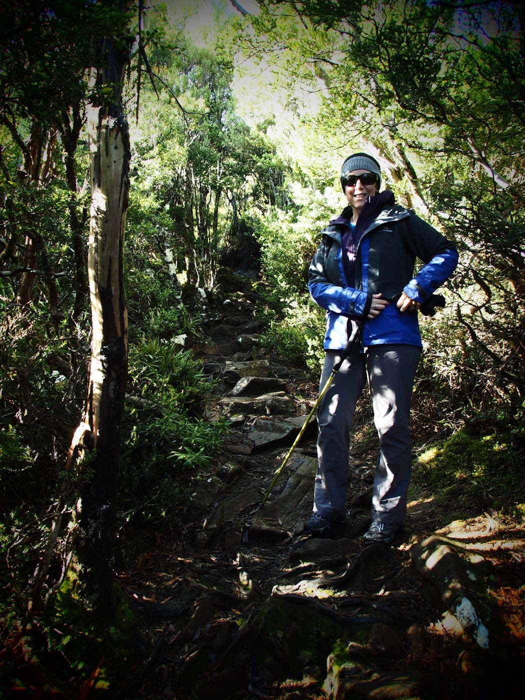 Hartz pass hike (8)