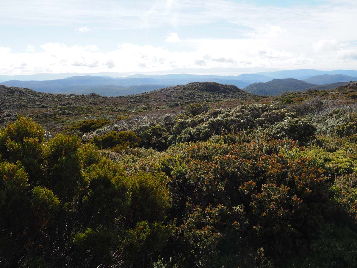 Hartz peak hike 13