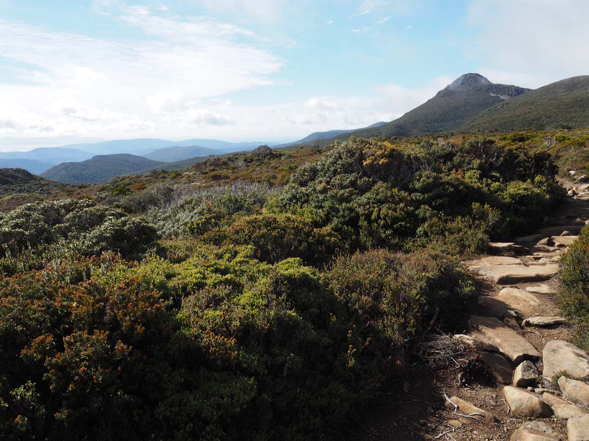 Hartz peak hike 14
