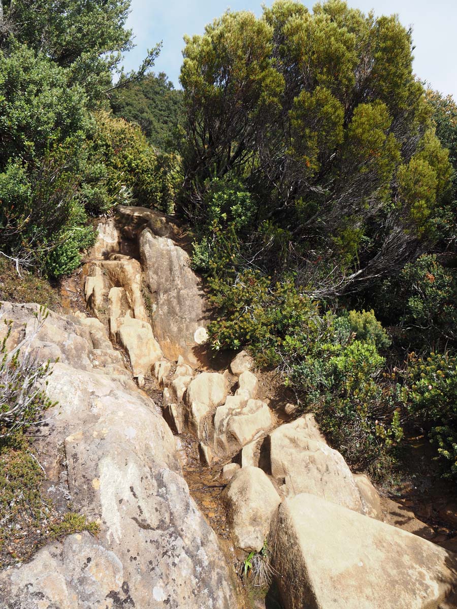 Hartz peak hike 21