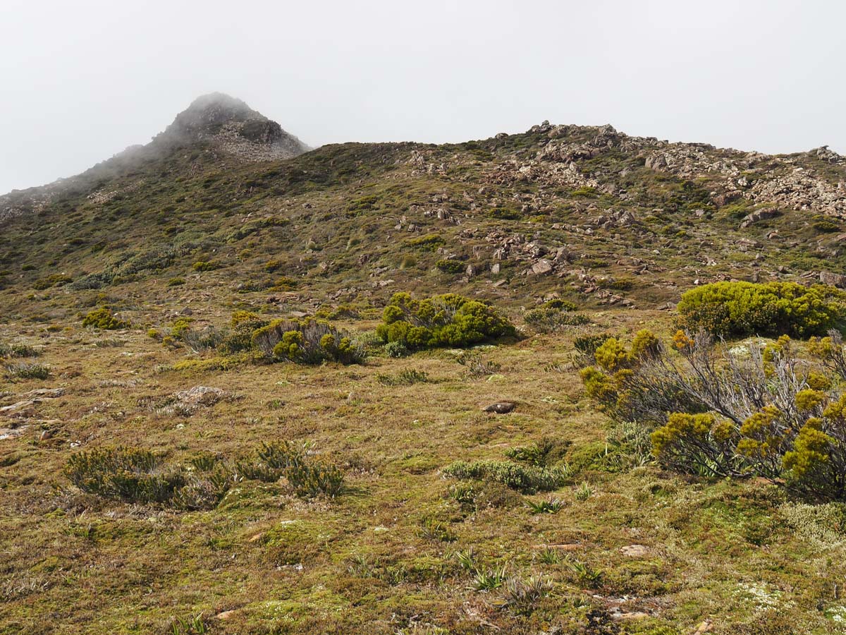 Hartz peak hike 24