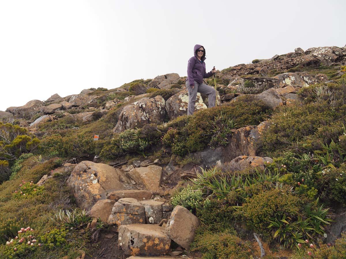 Hartz peak hike 27