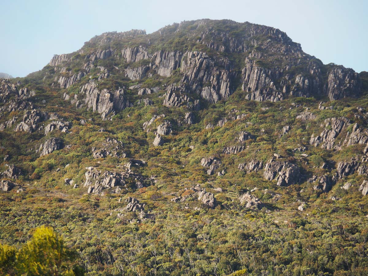 Hartz peak hike 6