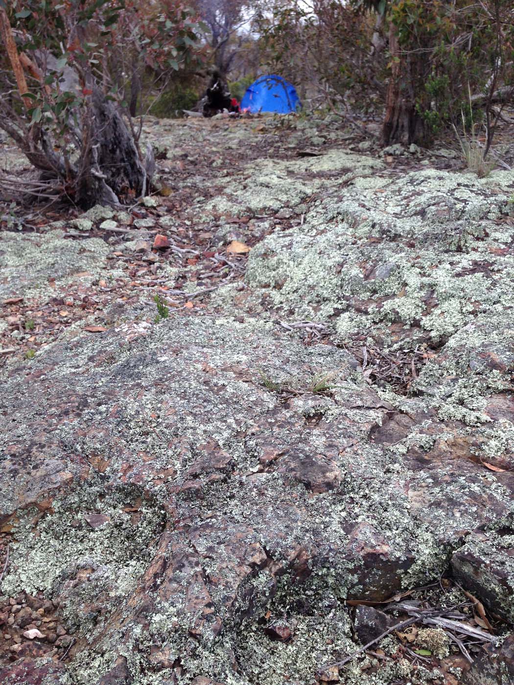 Hiking with kids (12)