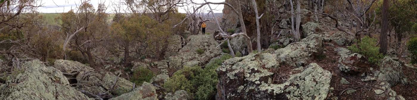 Hiking with kids (17)