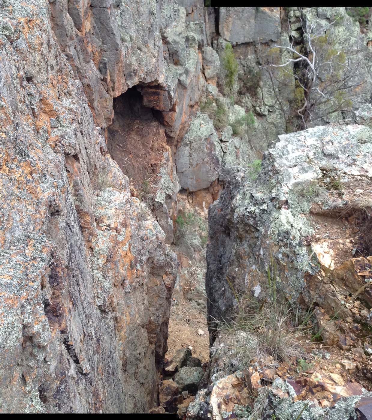 Hiking with kids (18)