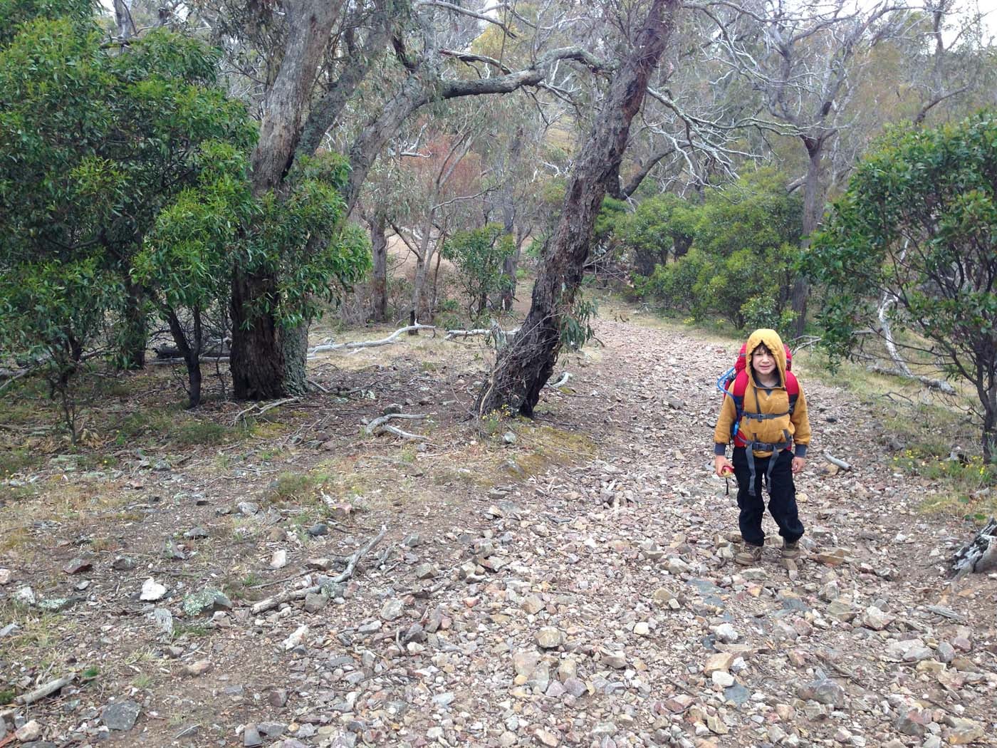 Hiking with kids (22)