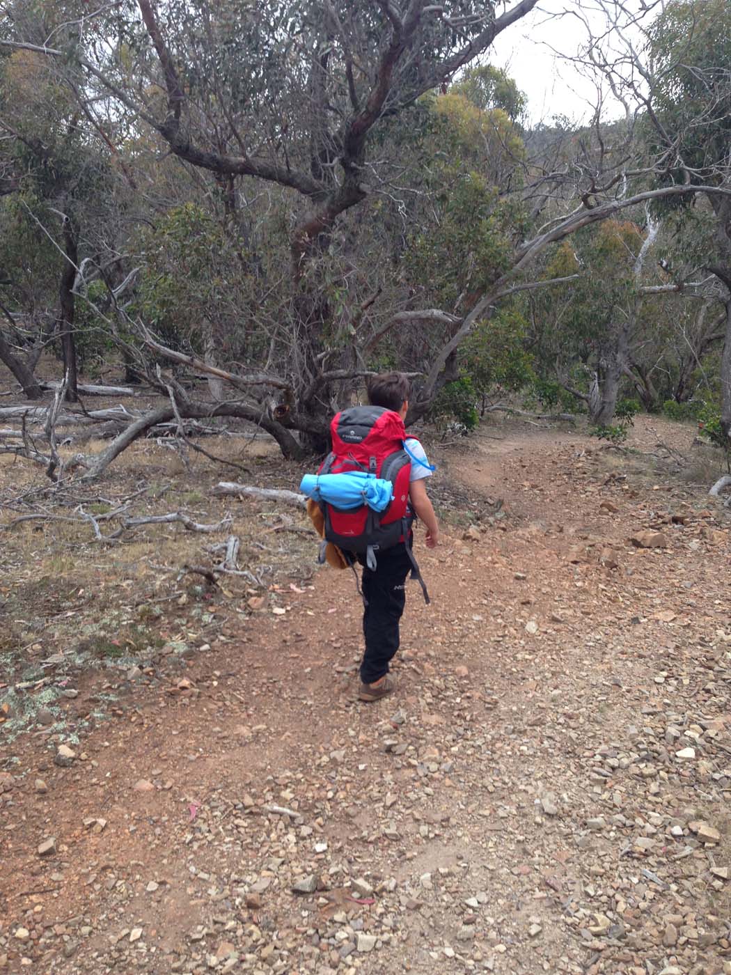 Hiking with kids (23)