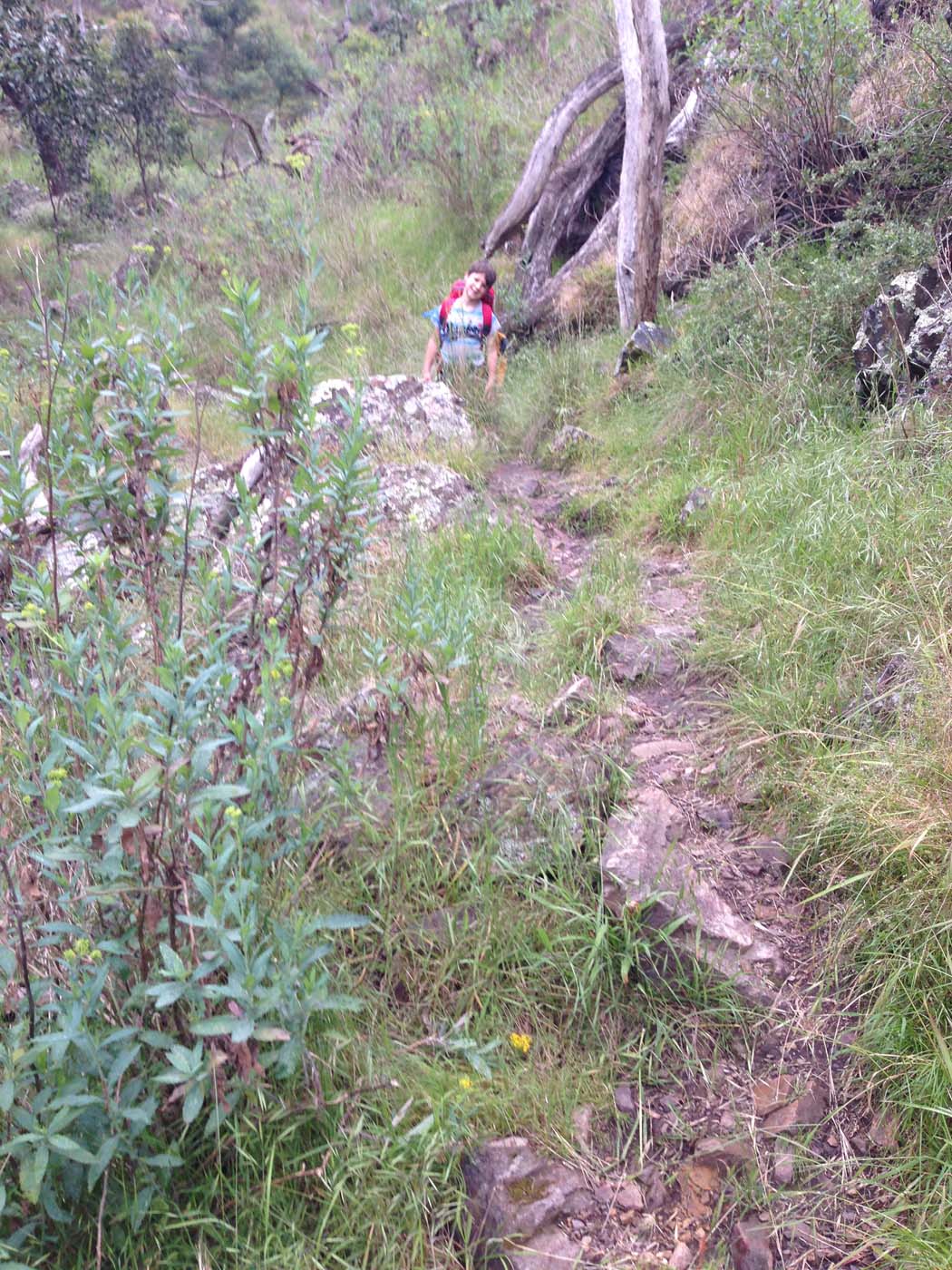 Hiking with kids (25)