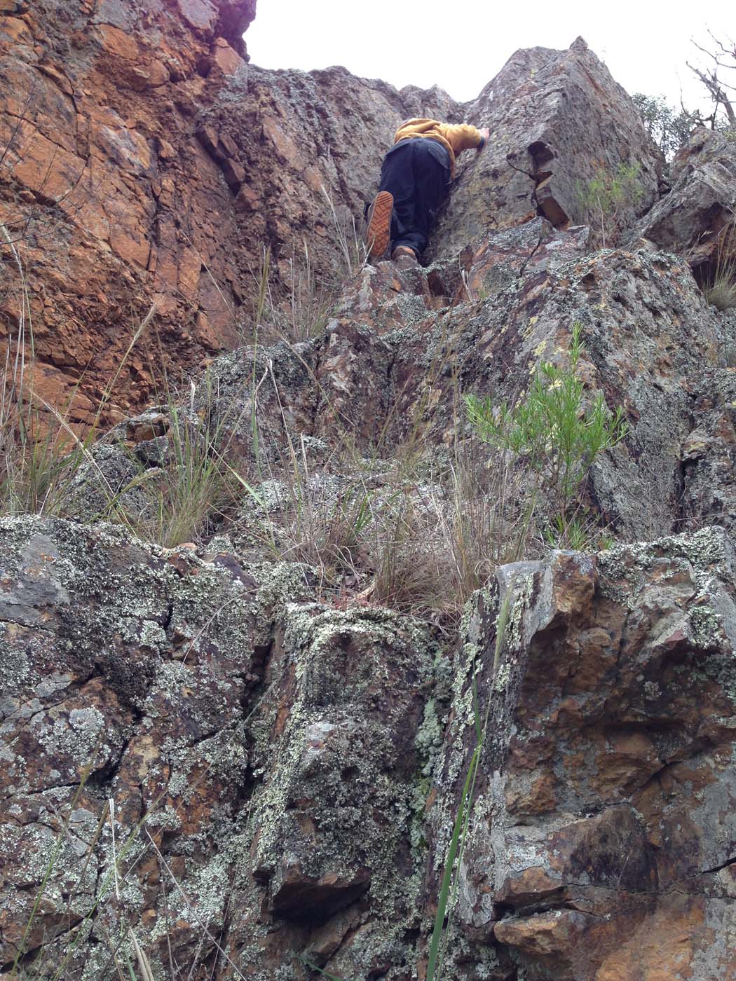 Hiking with kids (3)