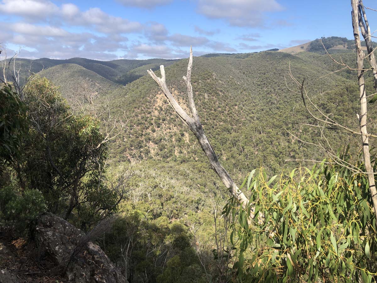 Hogan track & old river hike 10