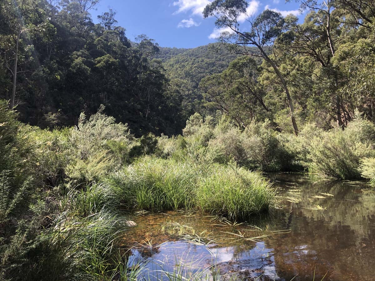 Hogan track & old river hike 18