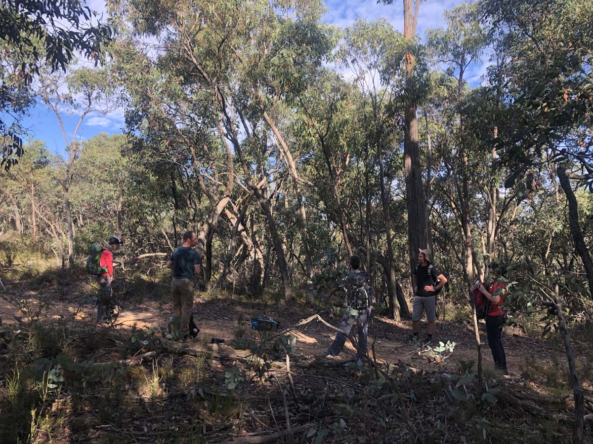 Hogan track & old river hike 2