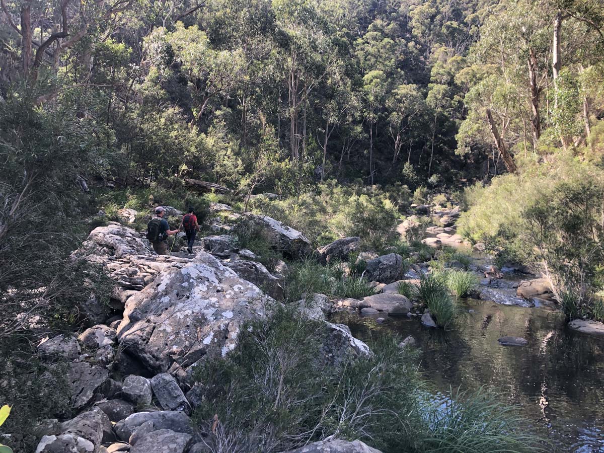 Hogan track & old river hike 22