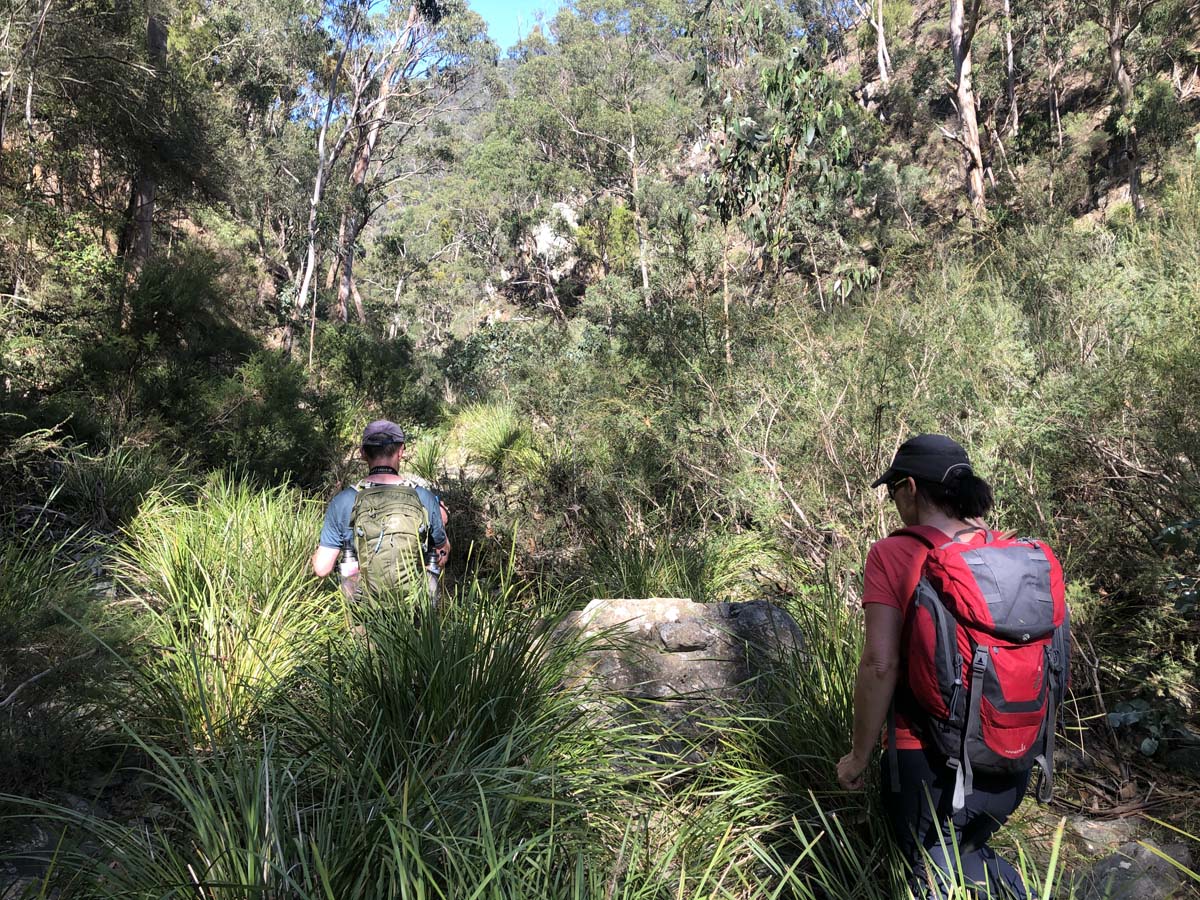 Hogan track & old river hike 24