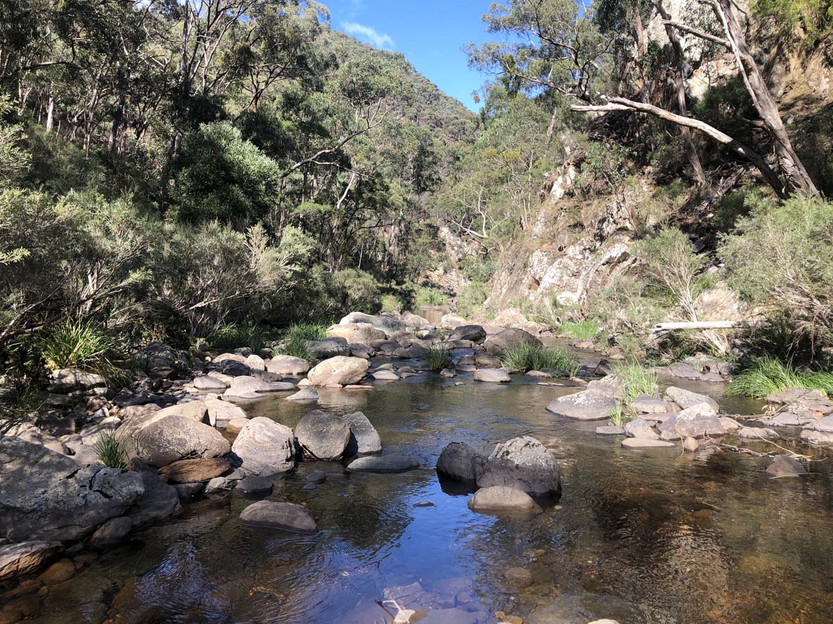 Hogan track & old river hike 25