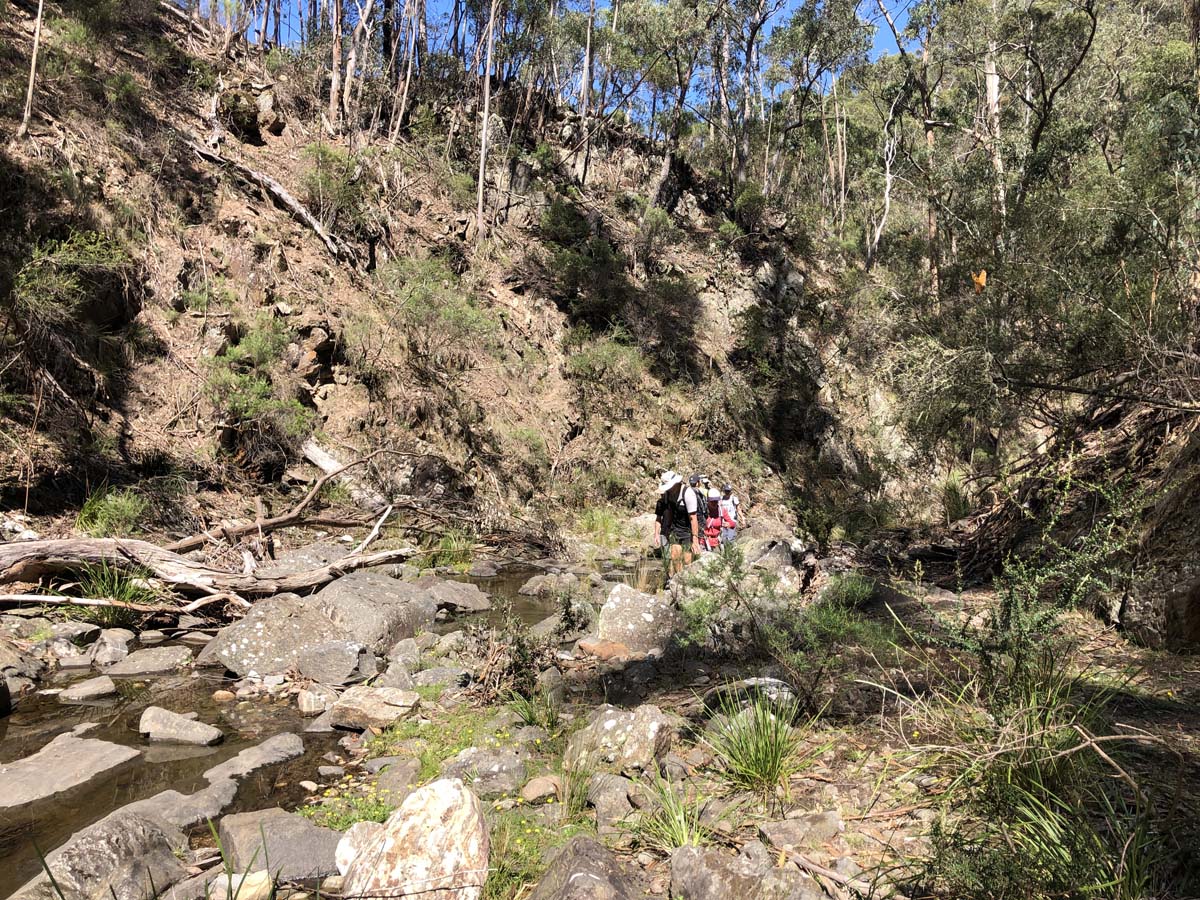 Hogan track & old river hike 40