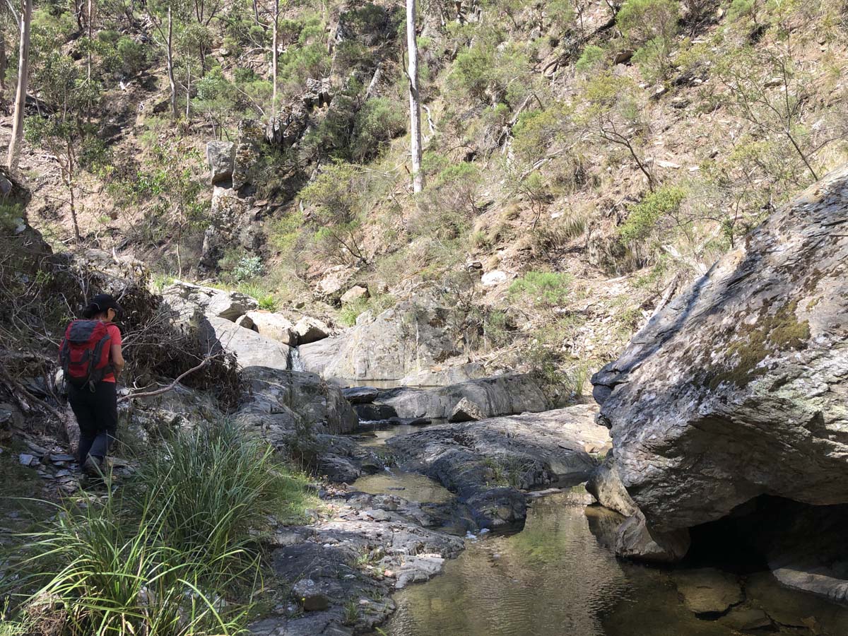 Hogan track & old river hike 48