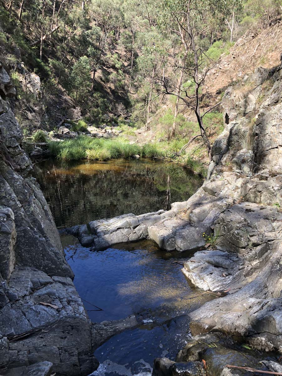 Hogan track & old river hike 51