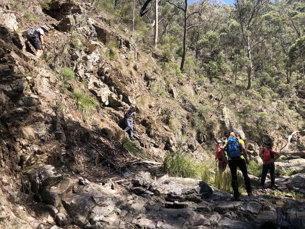Hogan track & old river hike 52