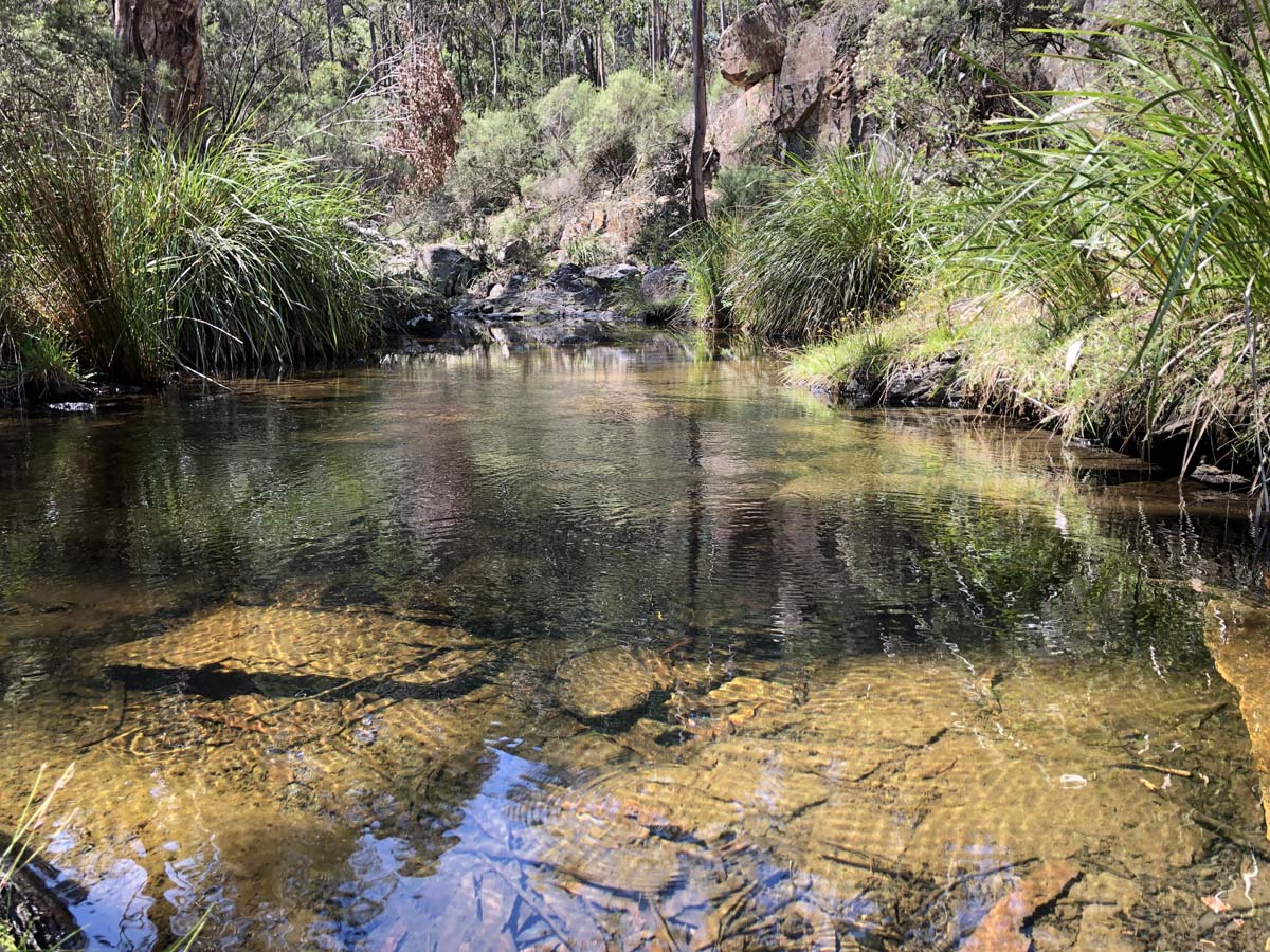 Hogan track & old river hike 57