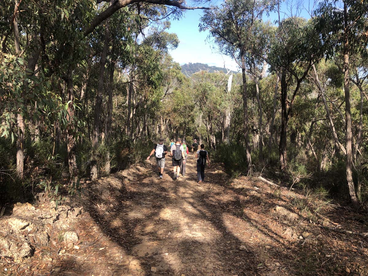 Hogan track & old river hike 6