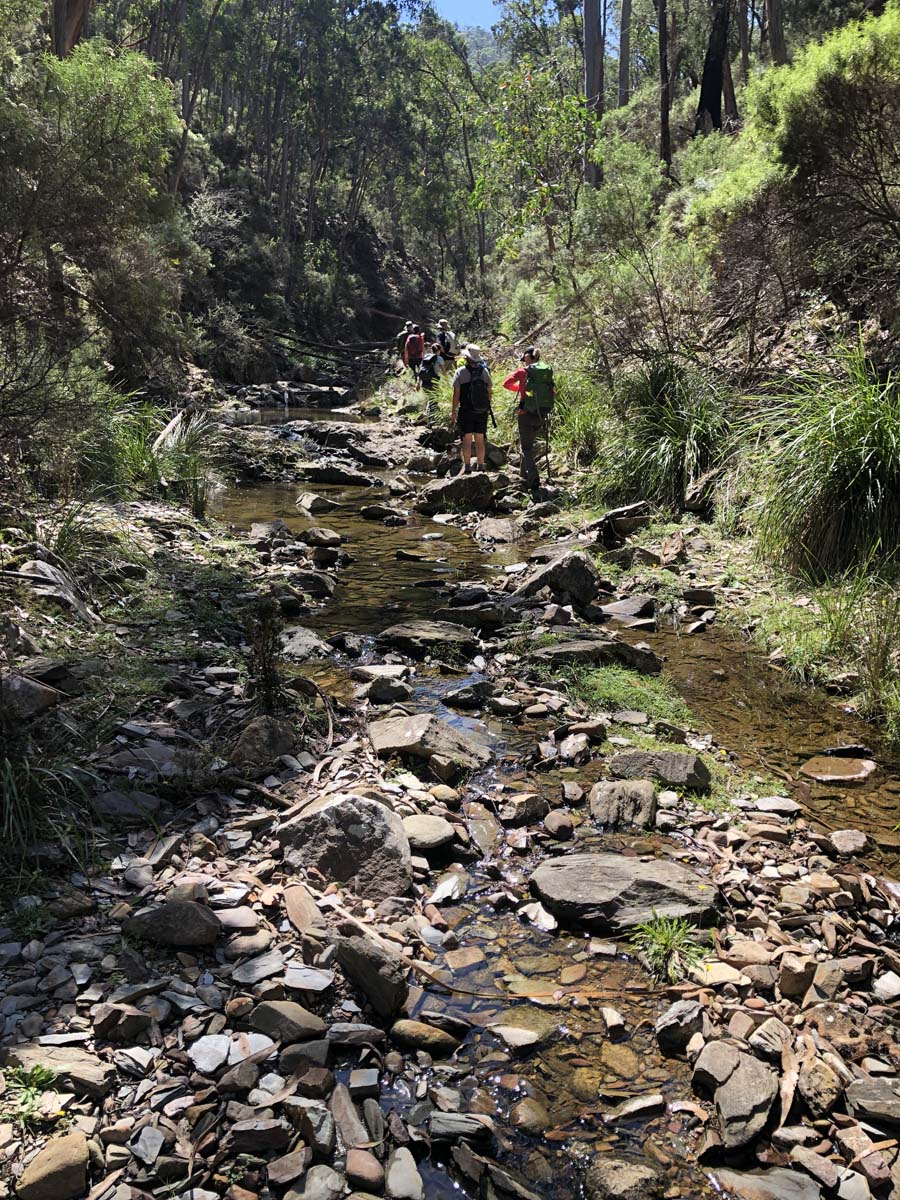 Hogan track & old river hike 61