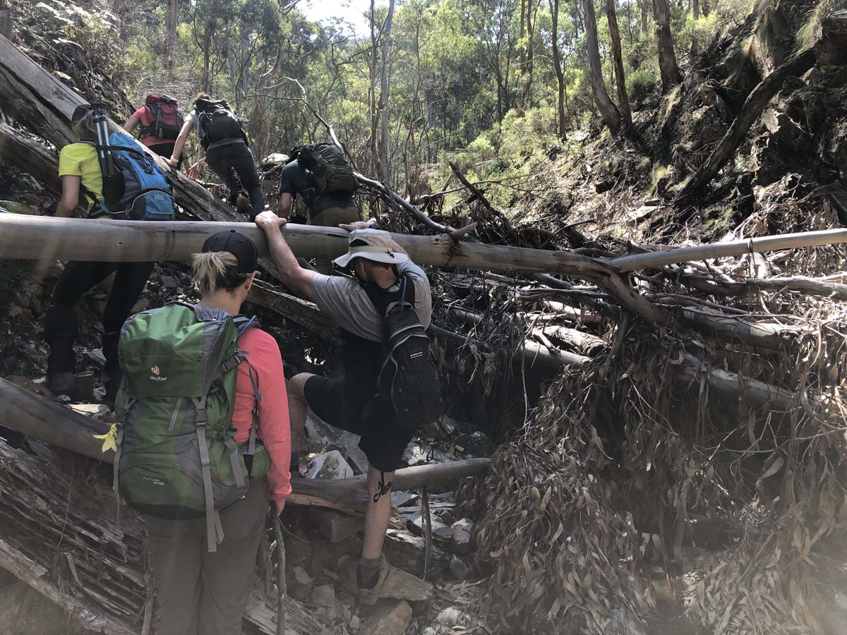 Hogan track & old river hike 62