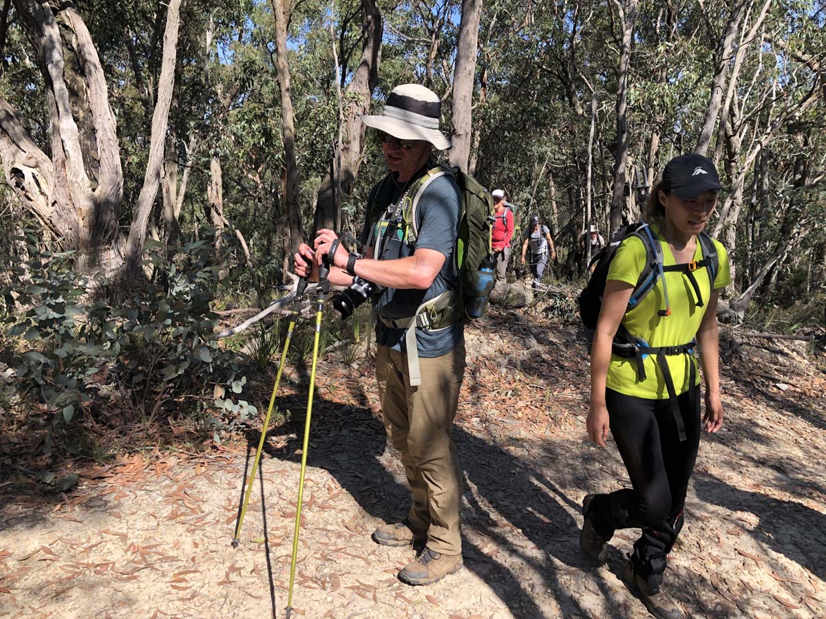 Hogan track & old river hike 65