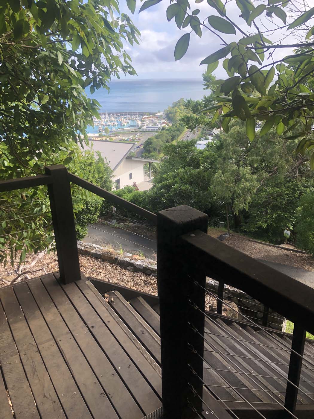 Honeyeater lookout walk (1)