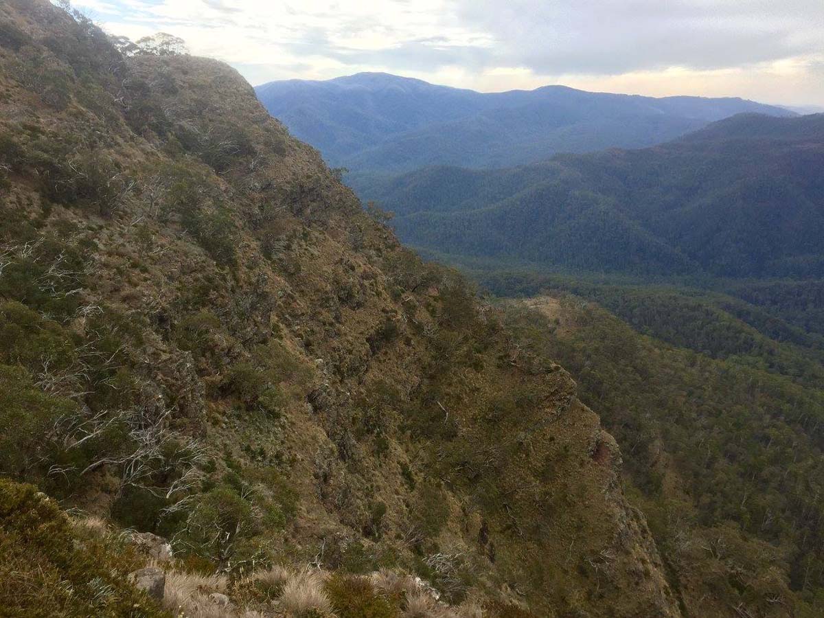 Howitt & helicopter spur hike 1
