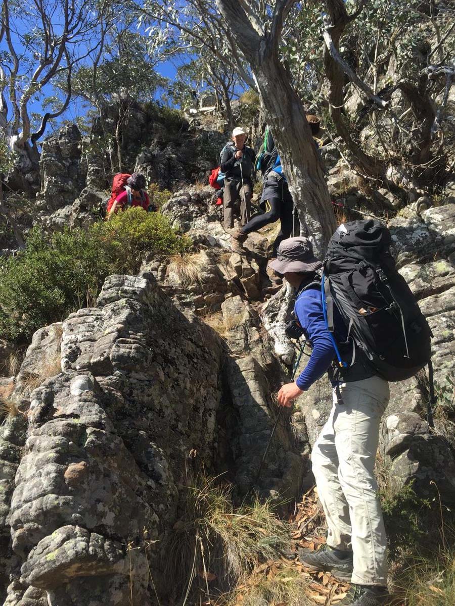 Howitt & helicopter spur hike 13