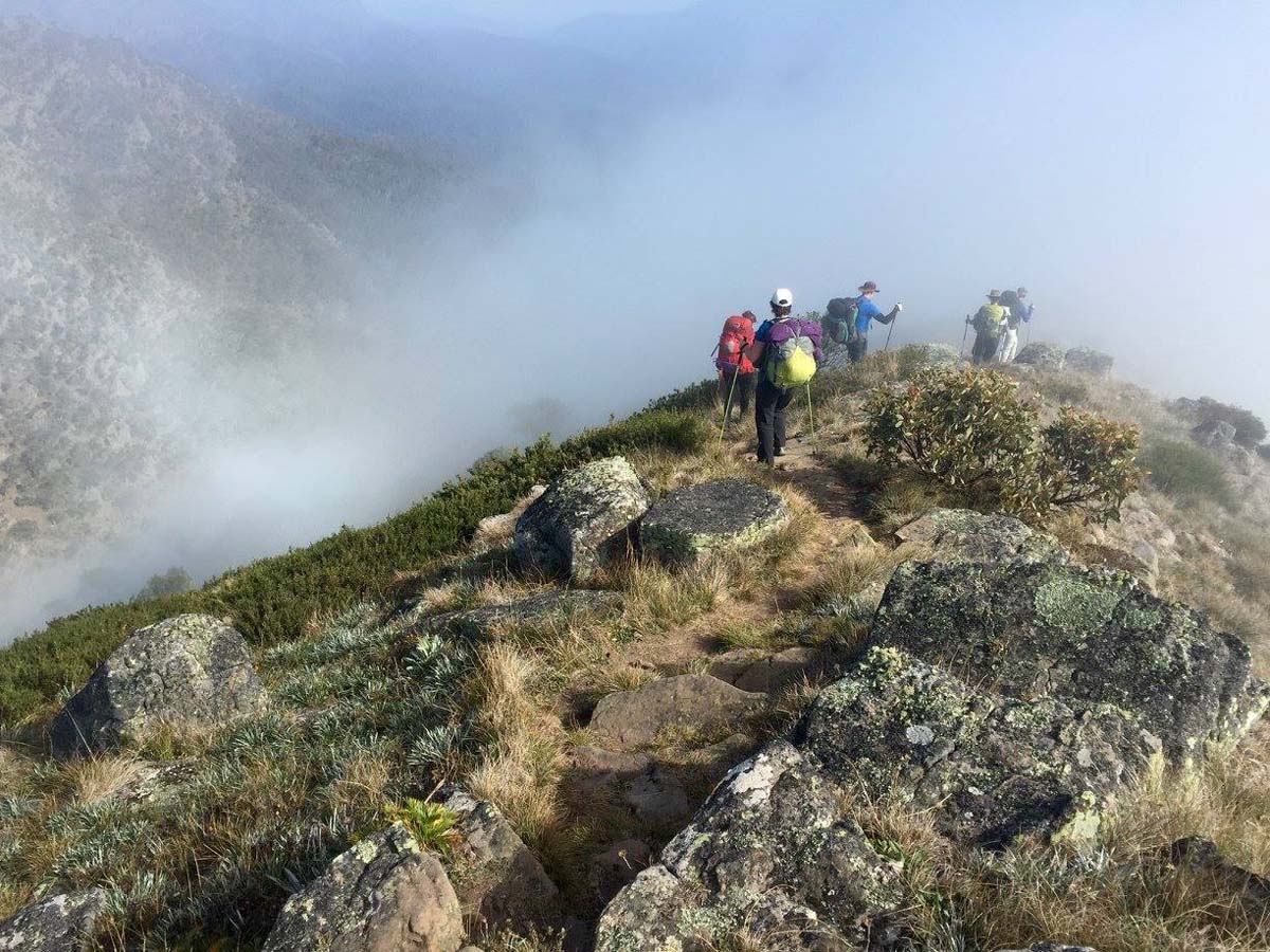 Howitt & helicopter spur hike 16