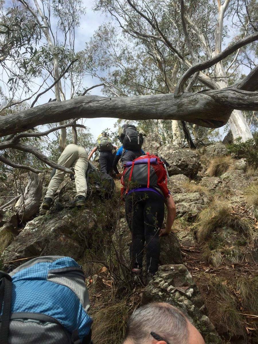 Howitt & helicopter spur hike 20